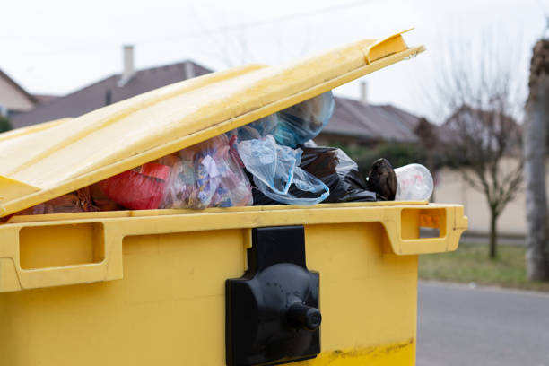 Best Moving and Downsizing Cleanouts  in Mendon, UT